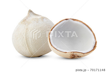 young coconut nuts on white background young coconut nuts on white background 70171148