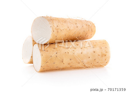 Chinese yam on white background 70171359