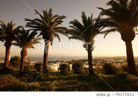 TUNISIA SIDI BOU SAID OLD TOWN 70172011