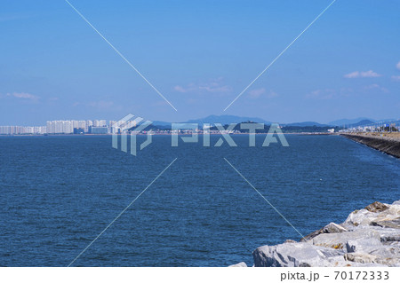 風景 安山市 市花防潮堤 70172333