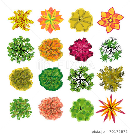 Trees top view. Easy to use in your landscape design projects 70172672