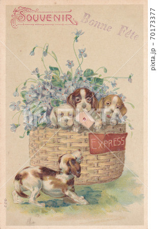 100年前のフランスのアンティークポストカードの写真素材 [70173377 