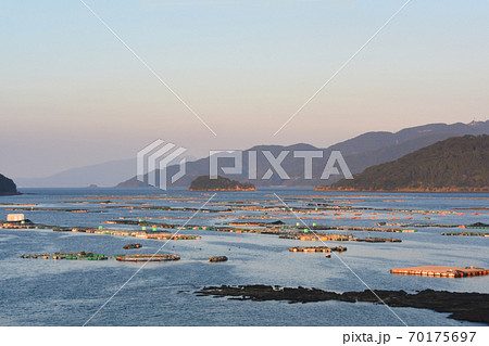 鹿児島県 長島町のブリ養殖場のいけすの写真素材