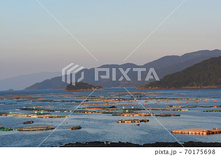 鹿児島県・長島町のブリ養殖場のいけす 70175698