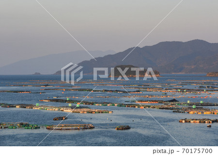 鹿児島県 長島町のブリ養殖場のいけすの写真素材