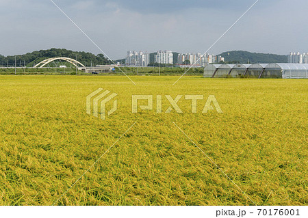 風景 空 田畑 70176001