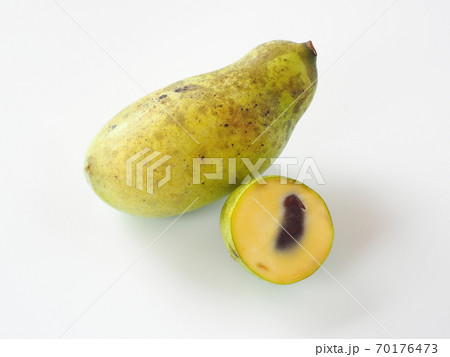 ポポー 白背景 ポポー 白背景 70176473