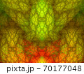抽象的なフラクタル模様の素材 70177048