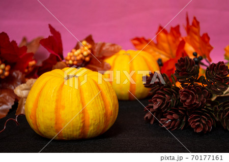 秋のハロウィン風かぼちゃ 秋のハロウィン風かぼちゃ 70177161