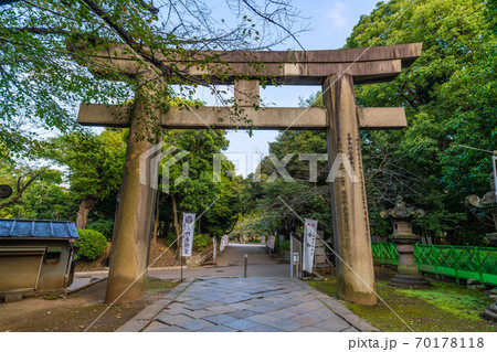 日本の東京都市景観 上野東照宮の参道などを望む 日本の東京都市景観 上野東照宮の参道などを望む 70178118