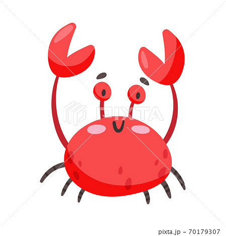 Crab as Sea Animal Floating Underwater Vector Illustration Crab as Sea Animal Floating Underwater Vector Illustration 70179307