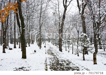 エッチング・・・画題？ イメージ（木立越しに見える雪積もる丘の