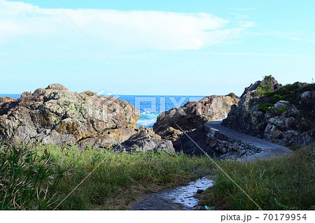 乱礁遊歩道【室戸世界ジオパーク】 乱礁遊歩道【室戸世界ジオパーク】 70179954