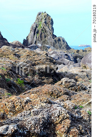 ビシャゴ岩【室戸世界ジオパーク】 ビシャゴ岩【室戸世界ジオパーク】 70180219