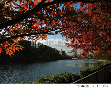 大阪城の北外堀と紅葉 大阪城の北外堀と紅葉 70182495