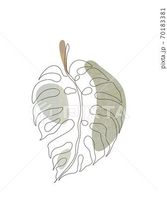 Exotic monstera continuous one line drawing summer tropical leaf hand drawn on white background minimalist design Exotic monstera continuous one line drawing summer tropical leaf hand drawn on white background minimalist design 70183381