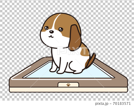 トイレで排泄する子犬 70183571
