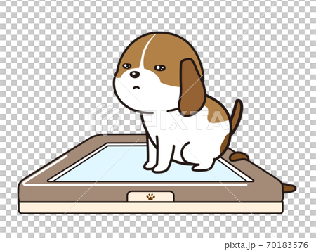 ビーグル犬の子犬がトイレから外してうんちをしているイラスト 70183576