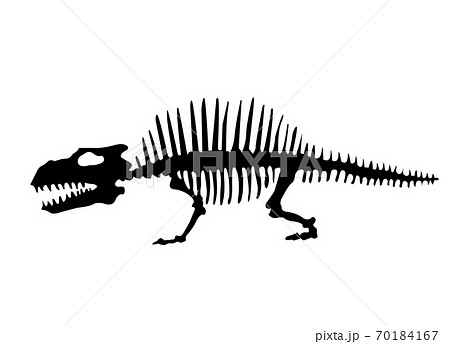 Vector Silhouette Of Dinosaurs Skeleton Hand のイラスト素材