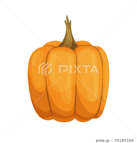 Cartoon pumpkin icon. Orange and yellow autumn pumpkin. Large gourd vegetable. Farm harvest vegetable fresh and tasty Cartoon pumpkin icon. Orange and yellow autumn pumpkin. Large gourd vegetable. Farm harvest vegetable fresh and tasty 70184169