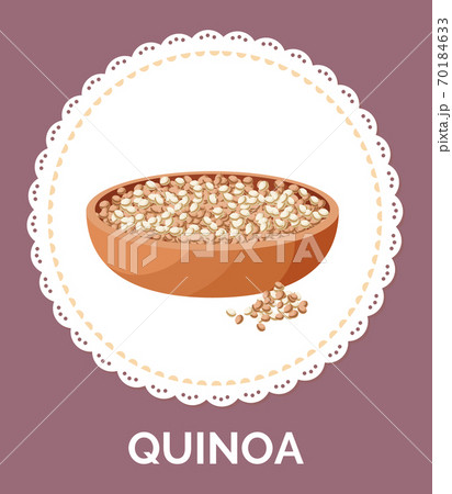 Quinoa grains in a plate. Vegan protein food vector illustration. Cereal for making porridge 70184633