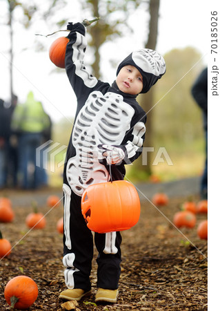 Little boy in scary skeleton costume at halloween celebrations party in forest.  70185026