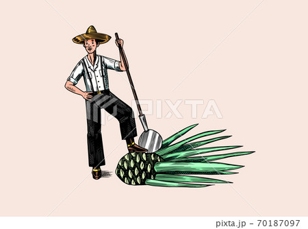 Farmer with blue agave Plant. Mexican man. Tequila production process. Retro poster or banner 70187097