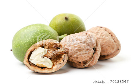 Young whole walnuts, half, in the skin on a white Young whole walnuts, half, in the skin on a white 70188547