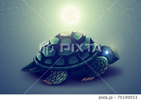Turtle With Mosaic Shell Wild Animal In のイラスト素材
