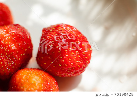 Macro of strawberries texture in sunlight. 70190429