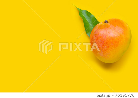 Tropical fruit, Mango on yellow background. Tropical fruit, Mango on yellow background. 70191776