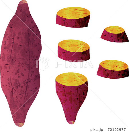 秋　さつまいも　料理　水彩　イラスト素材 70192977