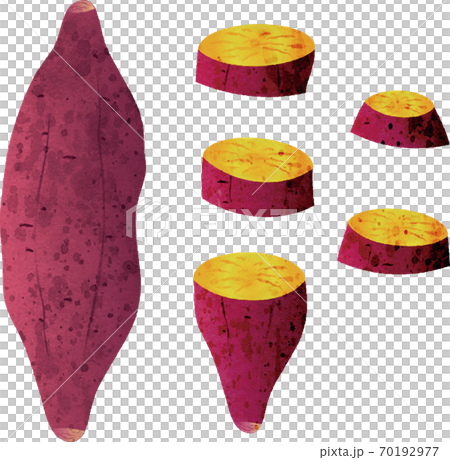 秋　さつまいも　料理　水彩　イラスト素材 70192977