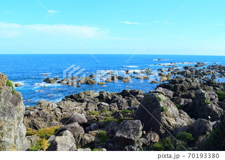 乱礁遊歩道【室戸世界ジオパーク】 70193380