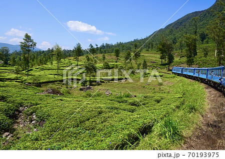 スリランカの紅茶鉄道の車窓からの風景 3 スリランカの紅茶鉄道の車窓からの風景 3 70193975
