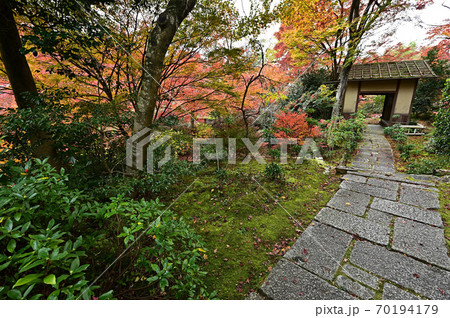 直指庵の紅葉 直指庵の紅葉 70194179