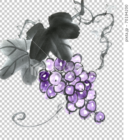 葡萄 70194200