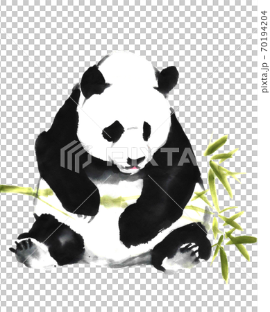 パンダに竹 パンダに竹 70194204