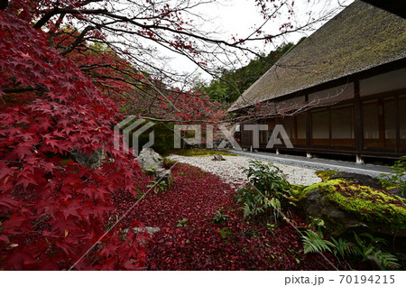 直指庵の紅葉 直指庵の紅葉 70194215