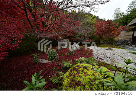 直指庵の紅葉 70194216