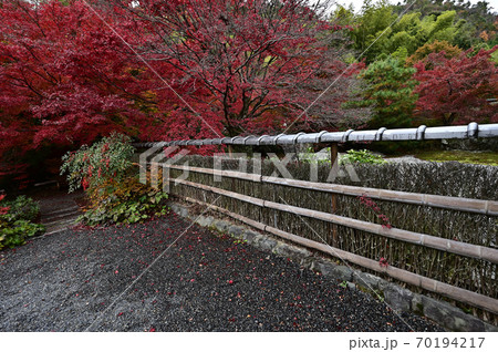 直指庵の紅葉 70194217