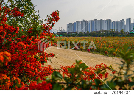 韓国 京畿道 キョンギド 70194284