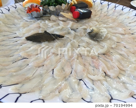 皿の上に乗るてっちり 70194994