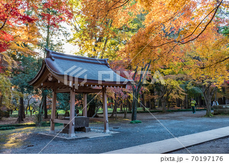 平林寺(埼玉県新座市) 手水舎と紅葉 平林寺(埼玉県新座市) 手水舎と紅葉 70197176