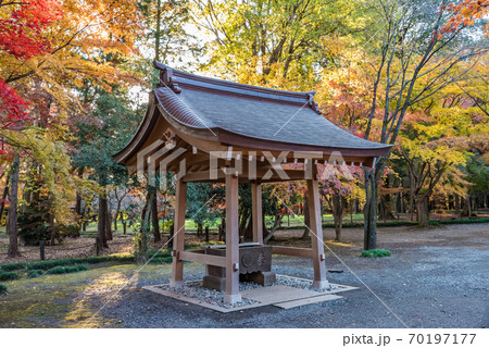 平林寺（埼玉県新座市）　紅葉 70197177