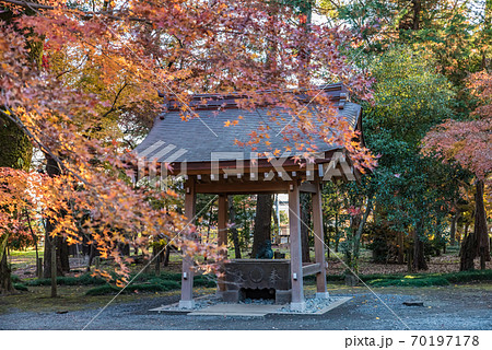 平林寺(埼玉県新座市) 紅葉 平林寺(埼玉県新座市) 紅葉 70197178