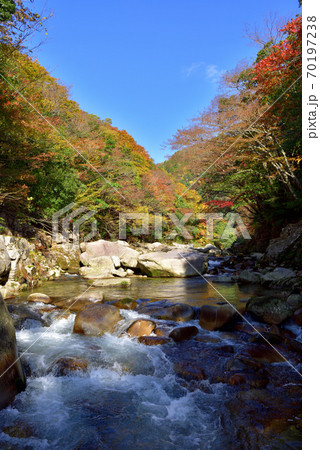 奥津渓の紅葉（岡山県苫田郡） 70197238
