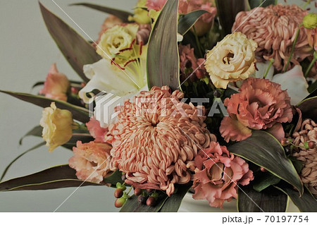 オータムブラウン 70197754