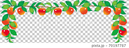 Apple branch frame Apple branch frame 70197787