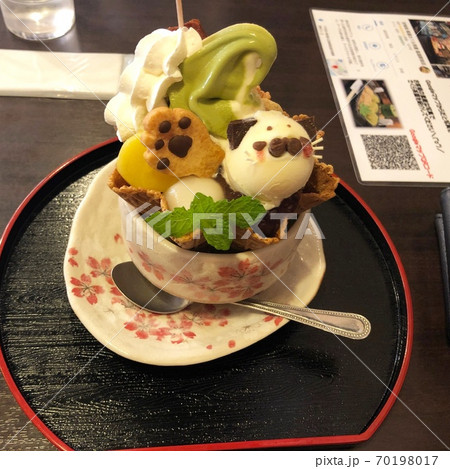 アイス アイス 70198017